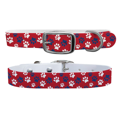 C4 Dog Collar