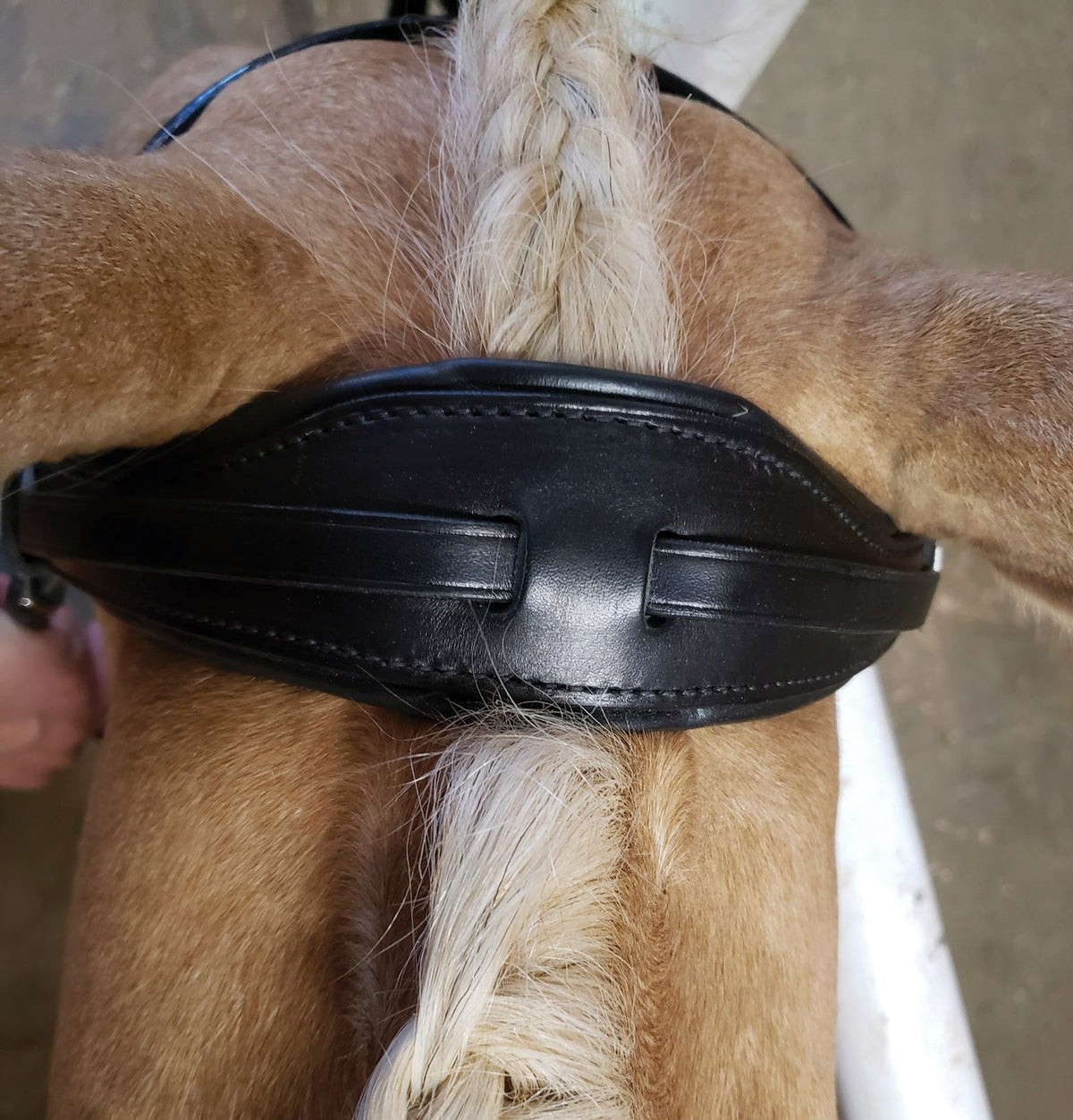 Stübben Patent Switch Combo Bridle